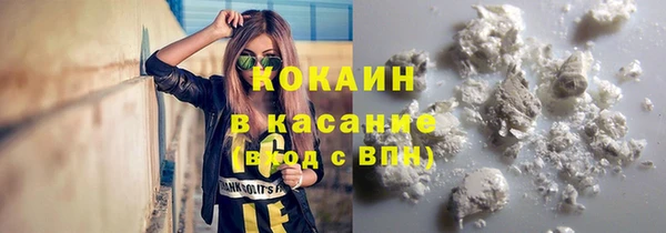 дживик Алексин