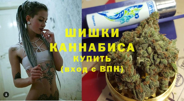 гидра Саяногорск