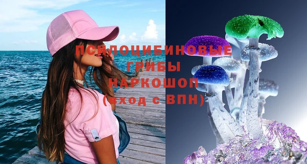 дживик Алексин